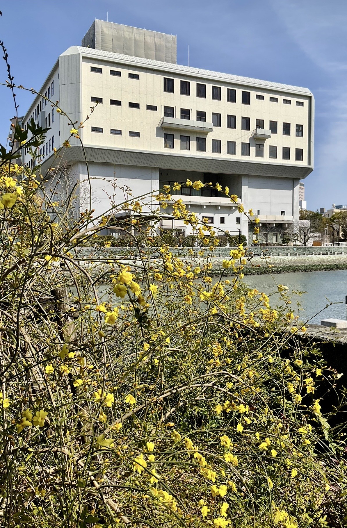 新町川をはさんで「あわぎんホール」